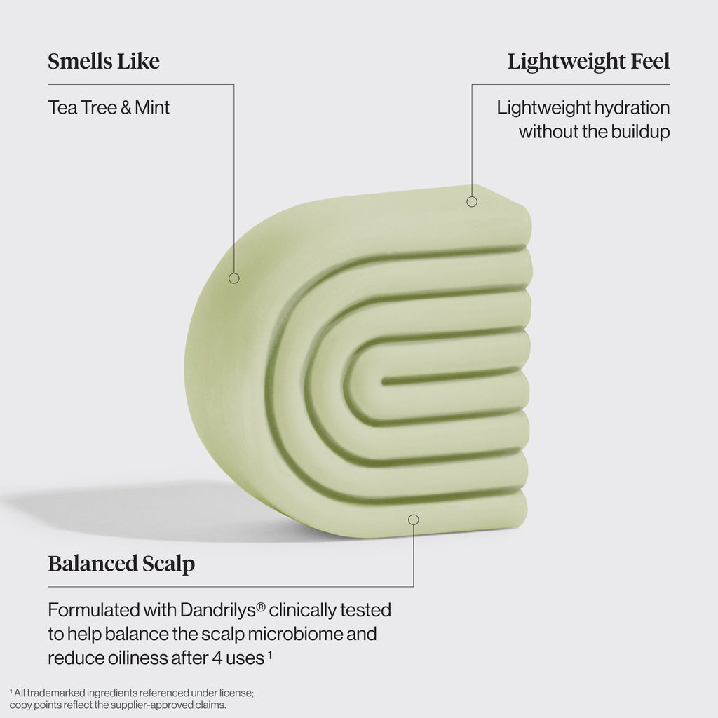 Tea Tree & Mint Clarifying Shampoo & Conditioner Bar Combo