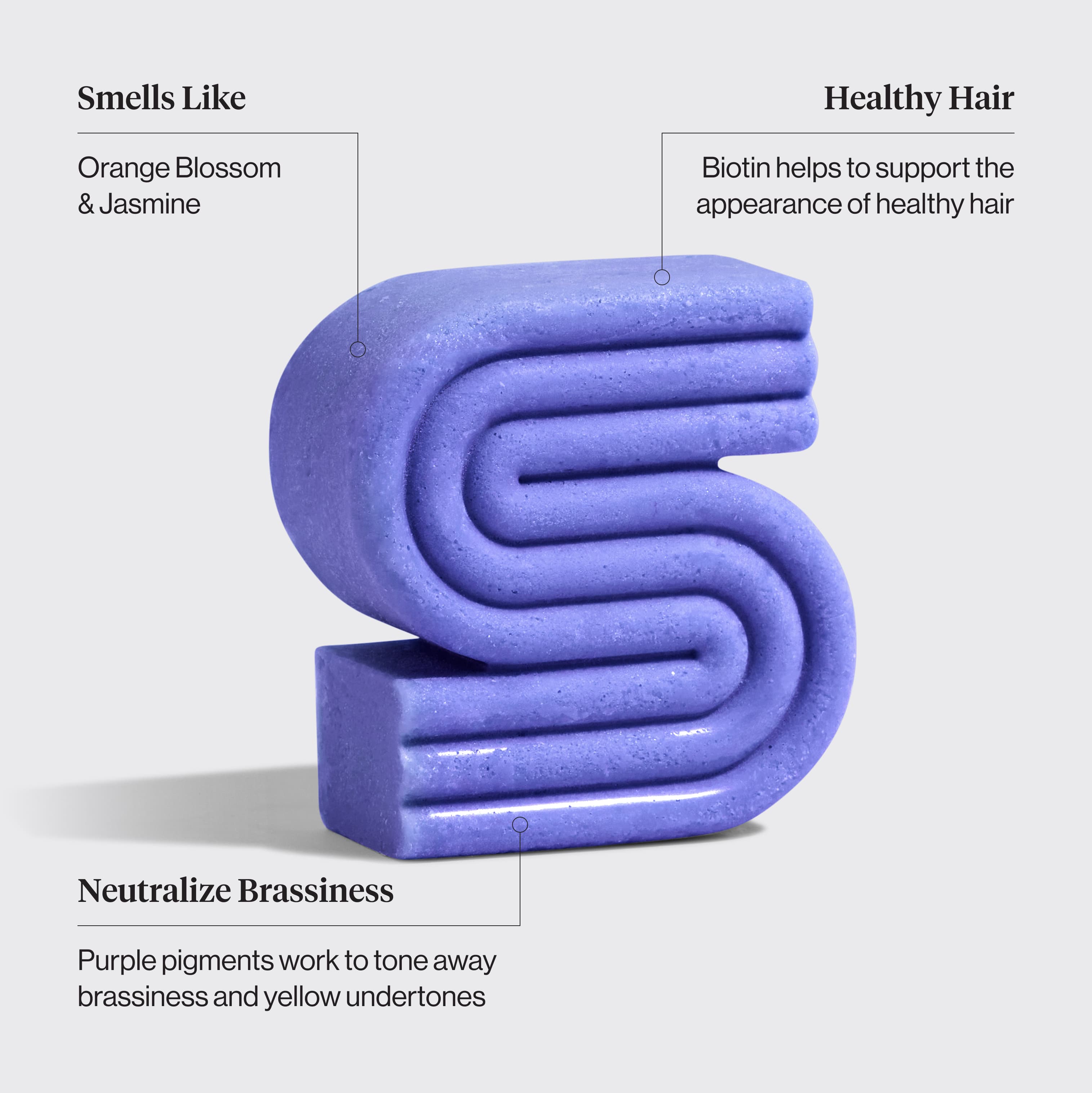 Purple Toning Shampoo & Conditioner Bar Combo for Color-Treated & Grey Hair
